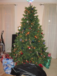 christmas2010