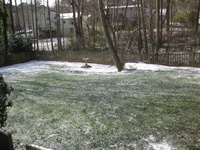 snow20100107